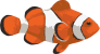 Image of a Clown Fish