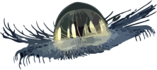Image of a Cosmic Jellyfish