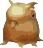 Image of a Dumbo Octopus