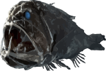 Image of a Fangtooth