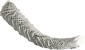 Image of a Glass Sponge