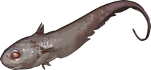 Image of a Grenadier